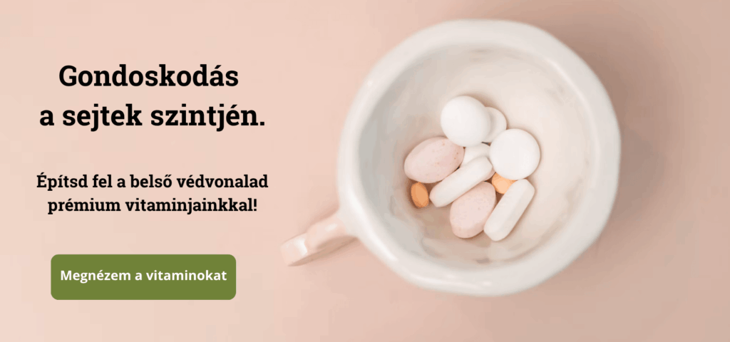 2. kép